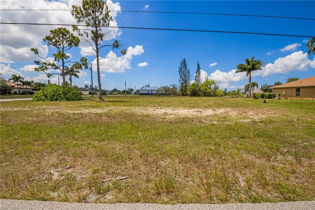 Expansive residential lot featuring mature pine and palm trees, with established homes in the background