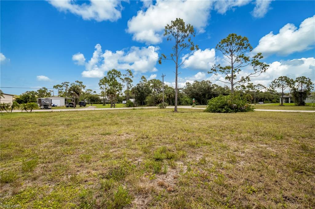 Expansive undeveloped lot featuring natural grass and several mature pine trees
