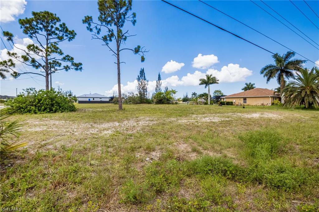 Expansive land parcel featuring existing natural vegetation