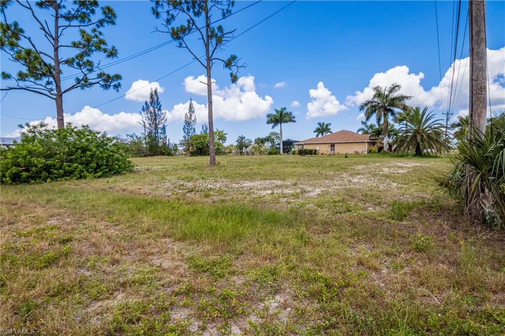 Expansive lot featuring natural vegetation, mature pine trees, and established palm trees