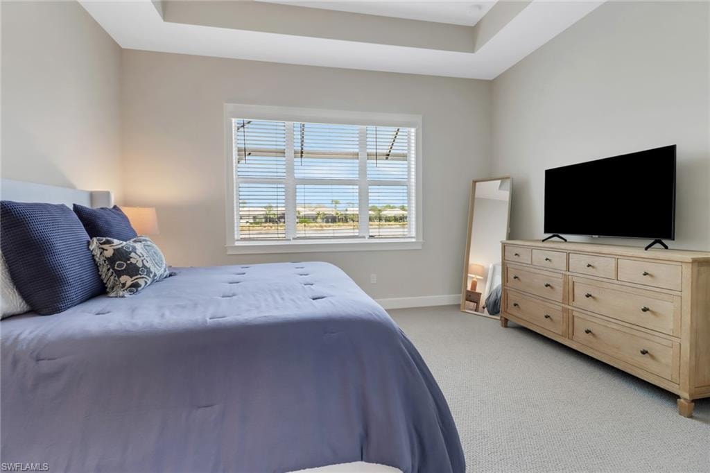 Bedroom featuring baseboards, a raised ceiling, and light colored carpet