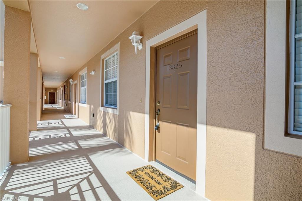 9621 Spanish Moss WAY 3825
