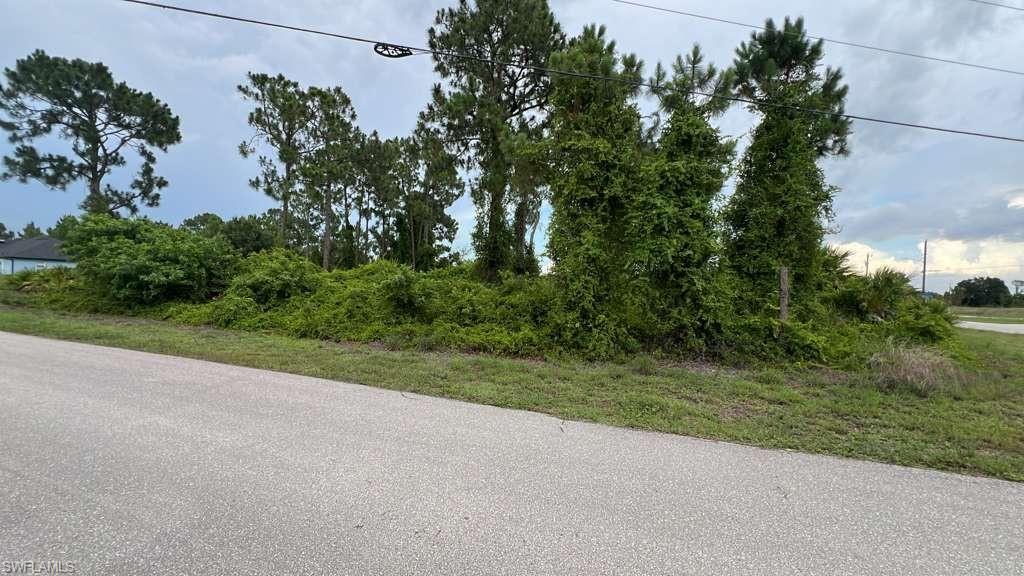 Generous undeveloped parcel featuring mature pine trees and lush natural vegetation