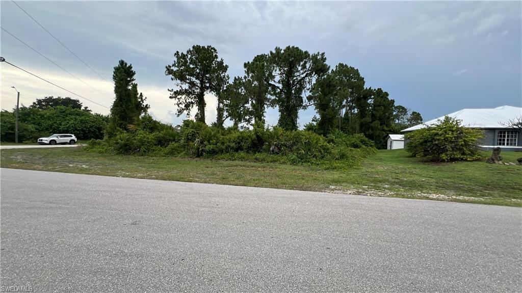 Expansive lot featuring mature trees and natural landscaping