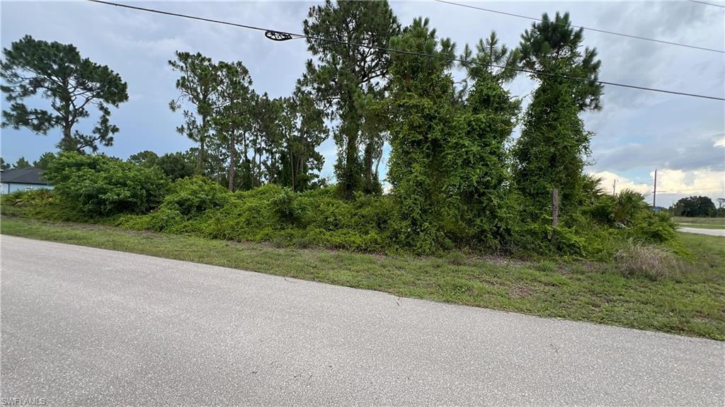 Roadside lot featuring mature trees and abundant natural vegetation