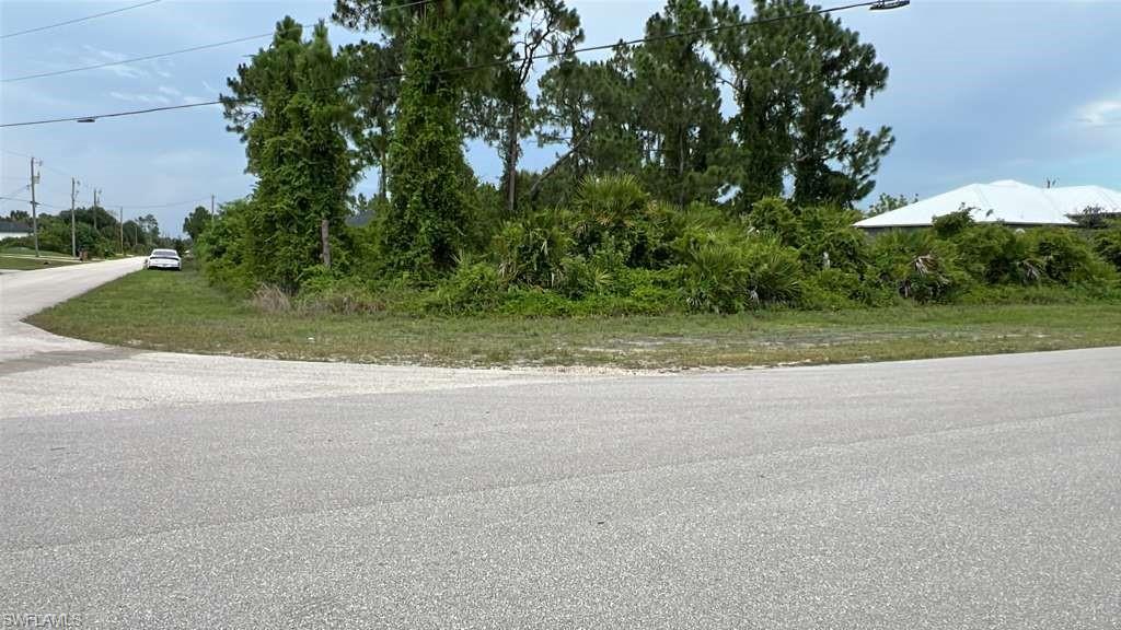 Corner lot featuring mature trees and natural vegetation