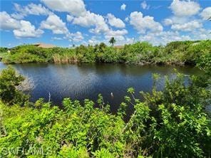 Waterfront property featuring a natural waterway surrounded by lush, mature foliage