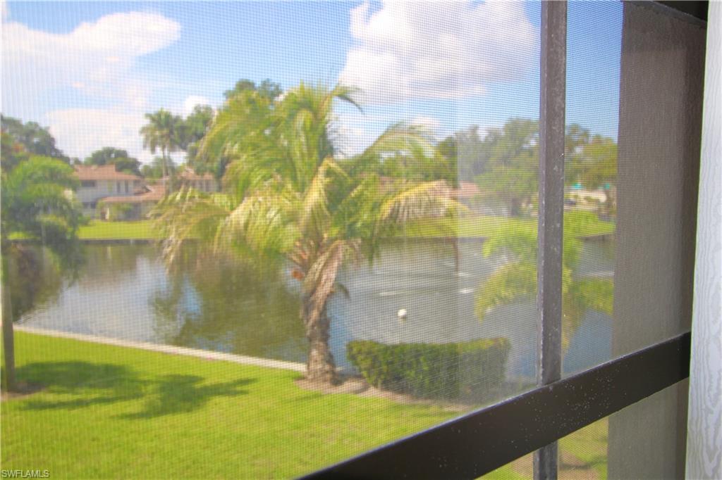 Rear lanai view