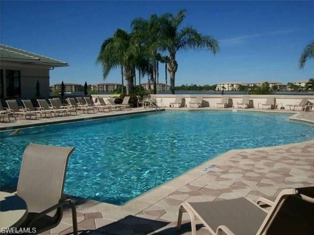 10350 Washingtonia Palm WAY 4232 photo 34