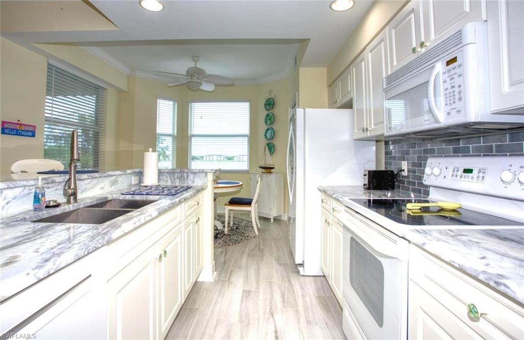 10350 Washingtonia Palm WAY 4232 photo 11