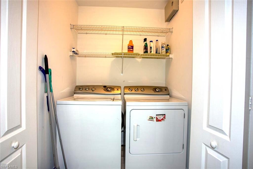 10350 Washingtonia Palm WAY 4232 photo 19