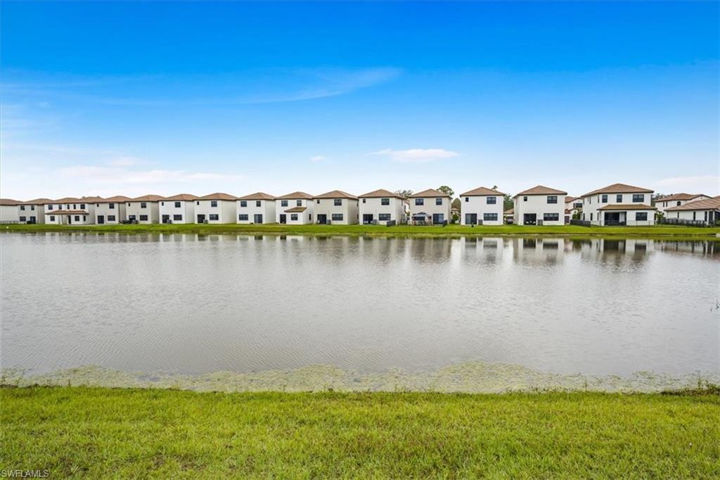 Lake view