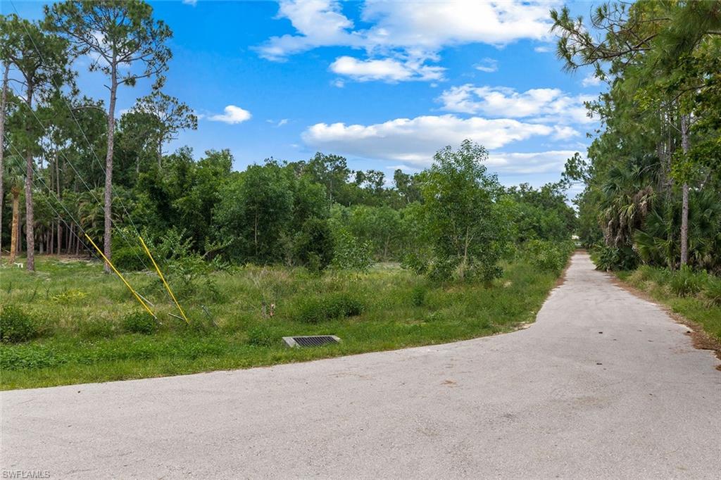 25693 Moriah LN photo 15