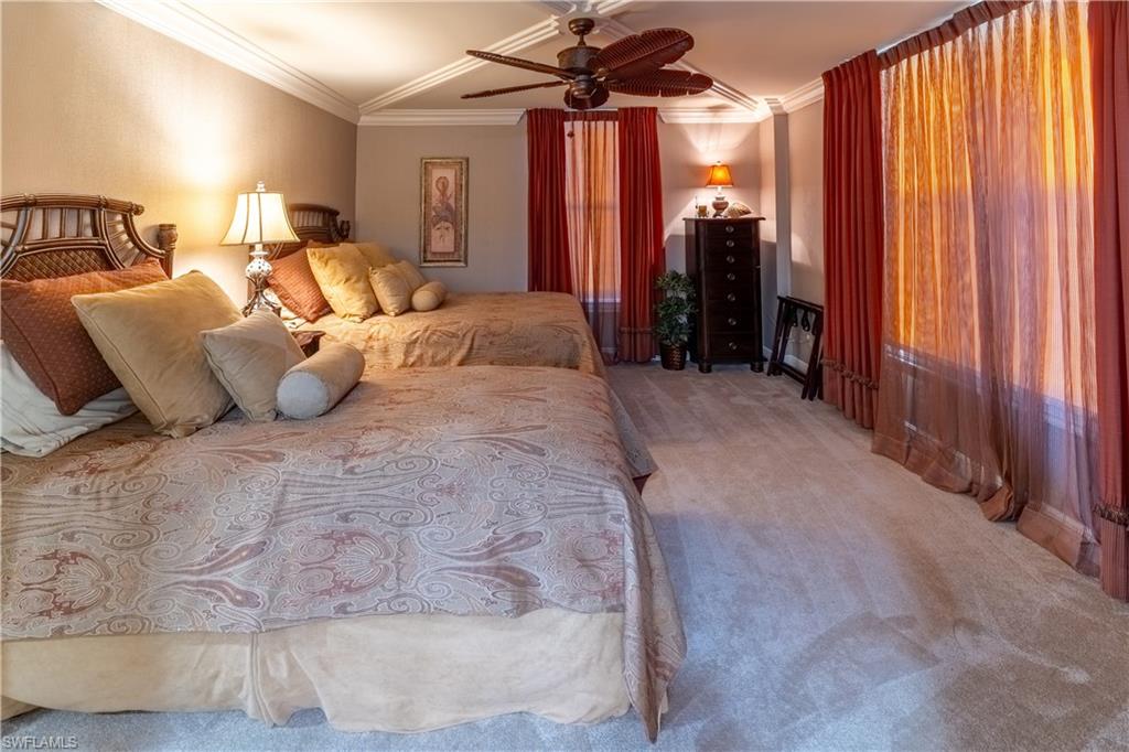 Plush carpeted room featuring crown molding and a ceiling fan