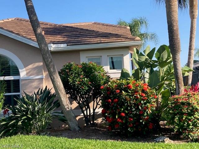 Do you like natural Florida Flowers? This is from May 2024 when the front was in full bloom.