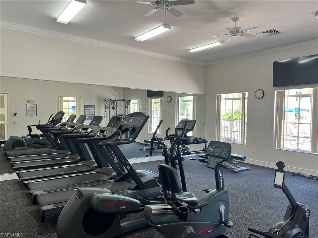Gym featuring crown molding and ceiling fan