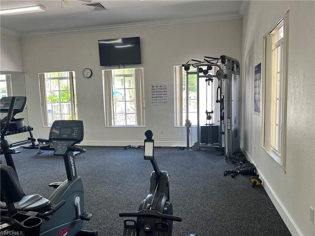 Gym featuring ornamental molding and plenty of natural light