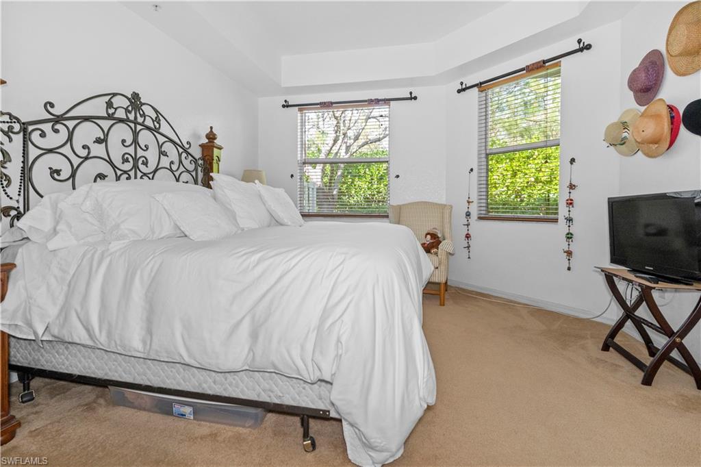 Carpeted bedroom featuring multiple windows and a raised ceiling