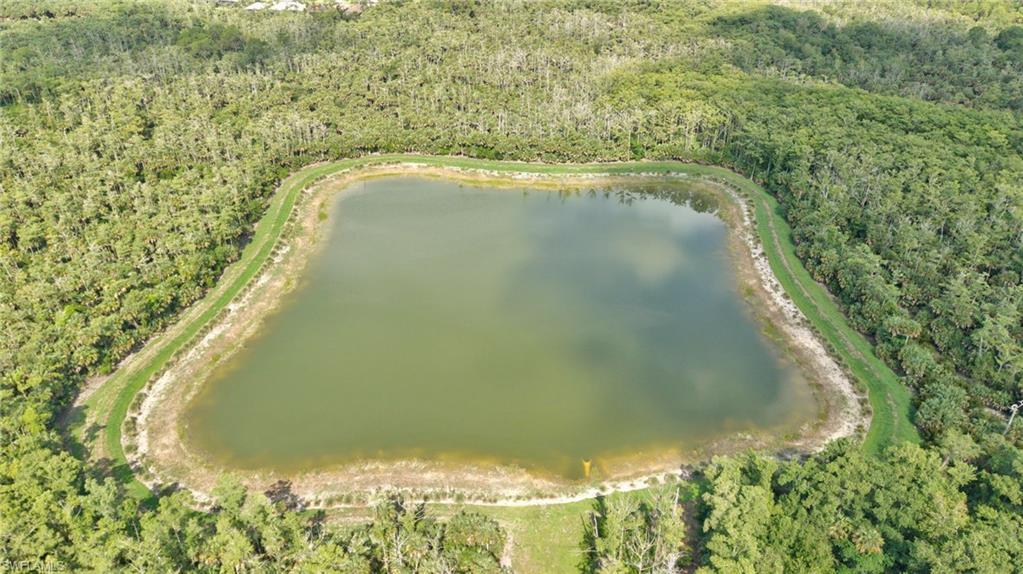 Large retention pond surrounded by a manicured grassy perimeter and dense, mature trees