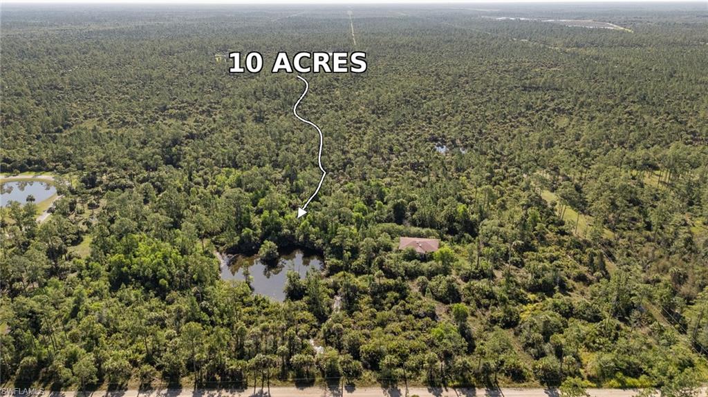 Expansive 10-acre wooded property featuring multiple mature trees and a private pond