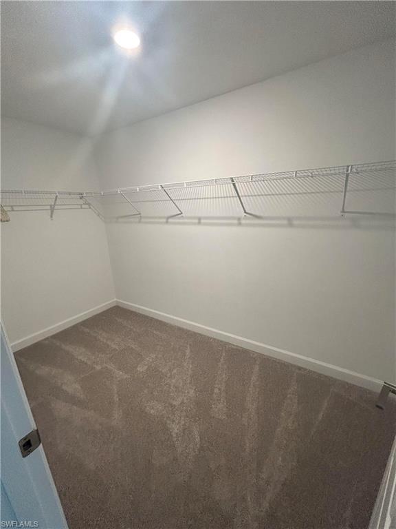 11299 Canopy LOOP photo 14