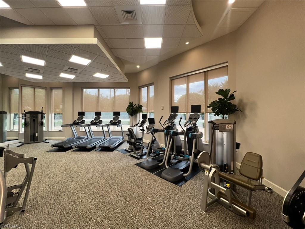 Workout area featuring carpet floors and a drop ceiling