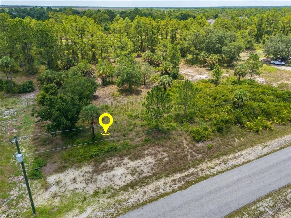 Expansive undeveloped land featuring diverse natural vegetation and mature trees, bordered by a paved road