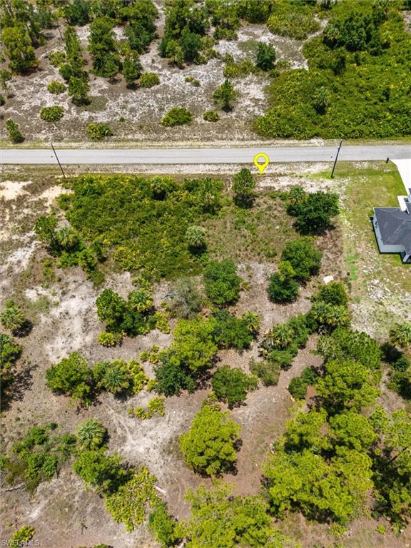 Expansive land parcel featuring natural vegetation and direct road frontage
