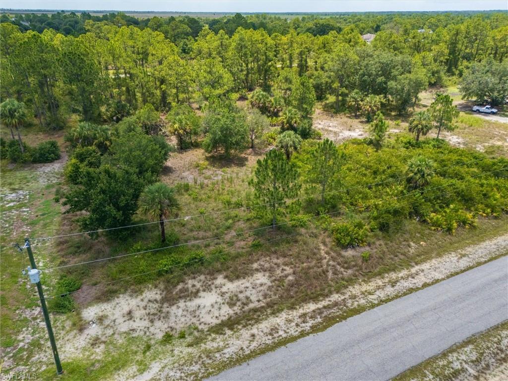 Expansive parcel featuring diverse mature tree coverage, including pines and palm trees