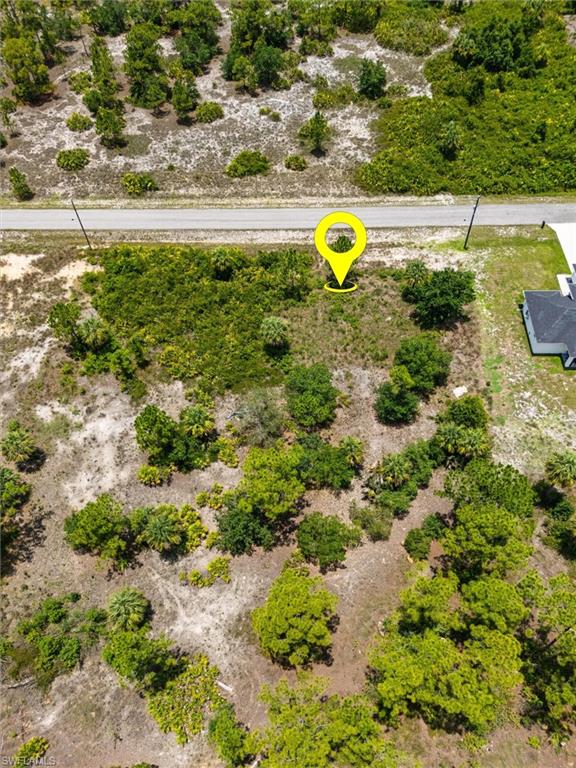 Cleared parcel featuring road frontage, mature trees, and natural vegetation