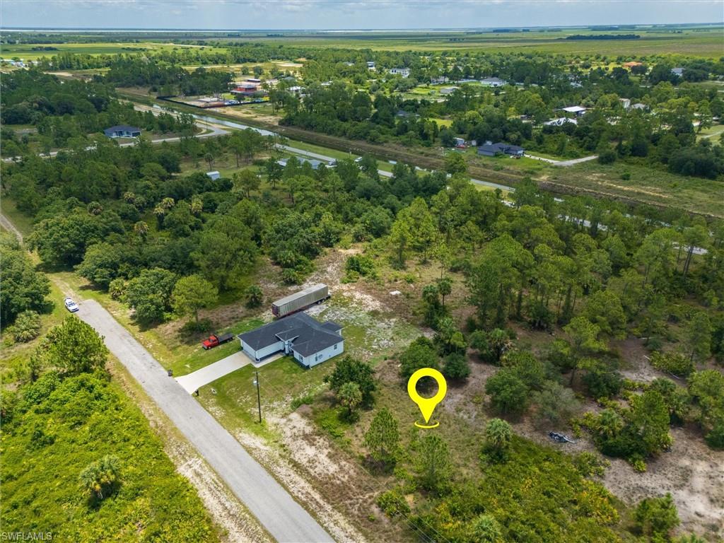 Expansive lot with mature trees and natural landscaping