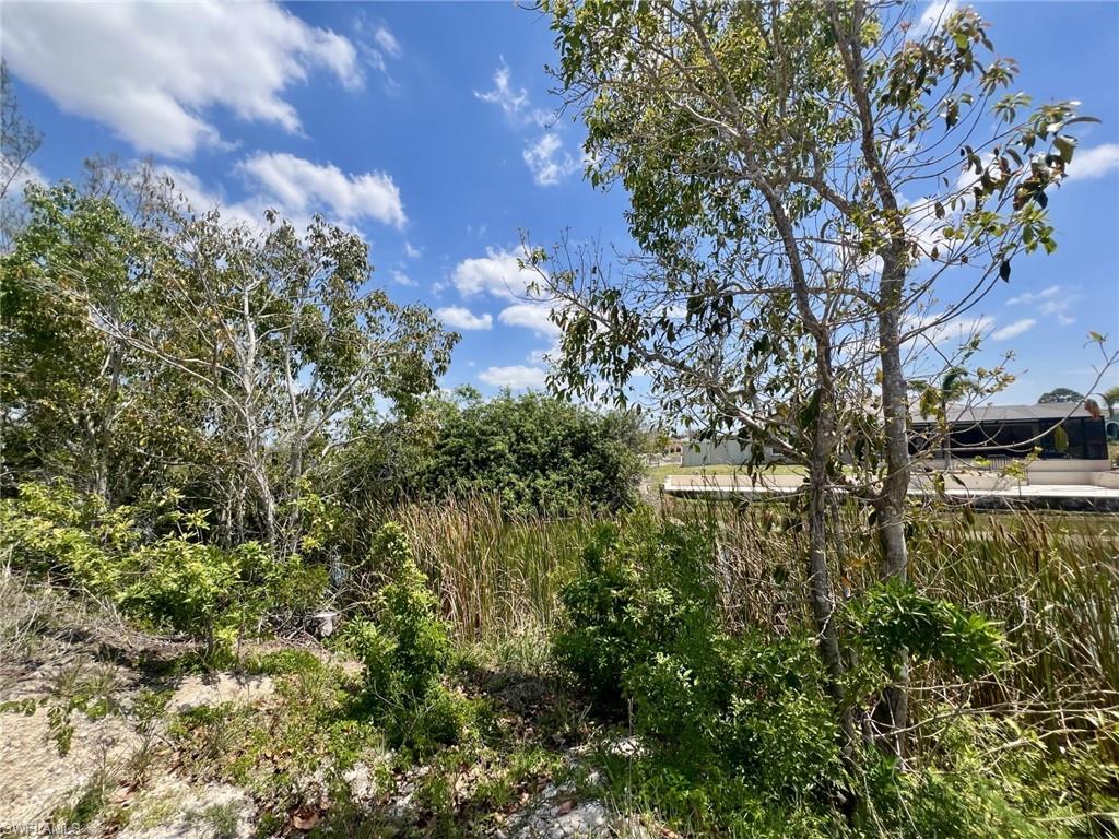 View of undeveloped land