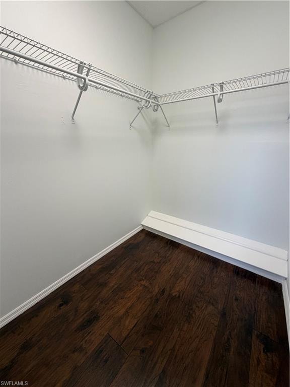 Walk-in closet featuring wood-finish flooring, white baseboards, and white wire shelving