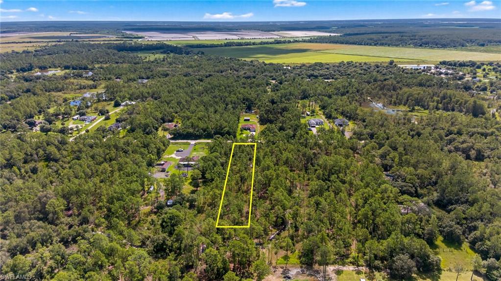 Aerial view of property's location featuring a forest and property boundaries highlighted