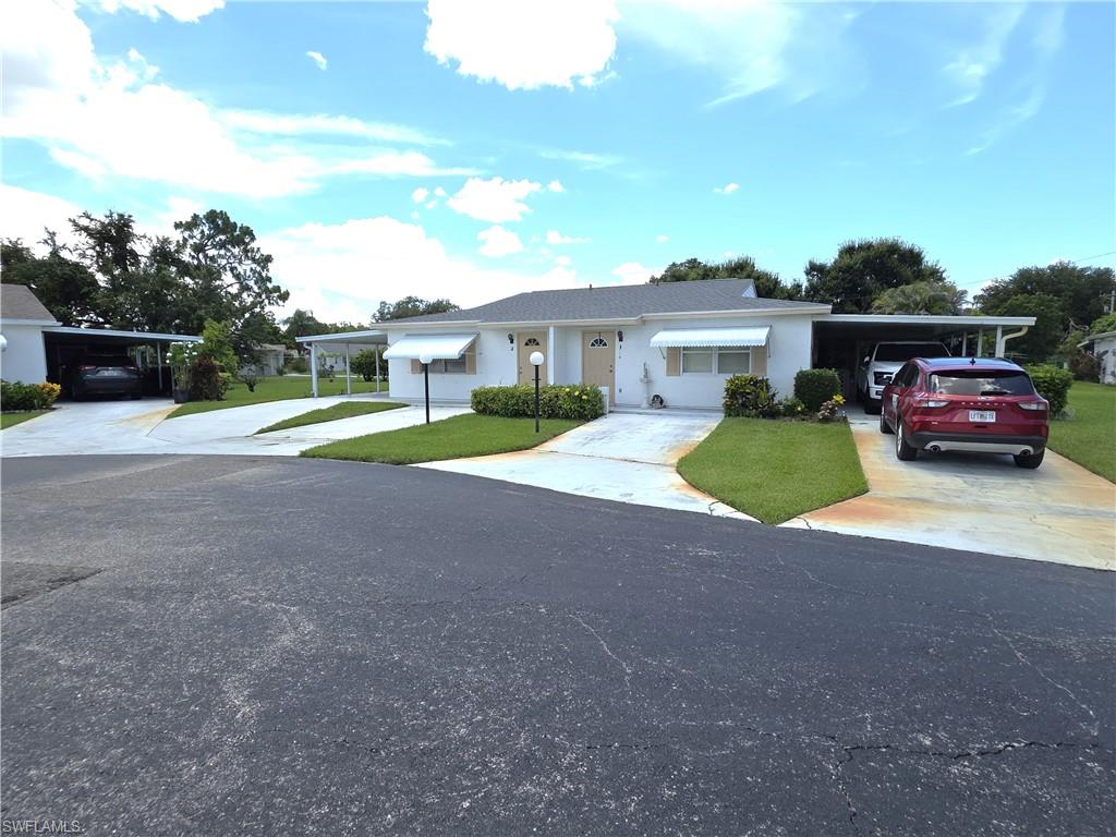 1 Dutch Iris LN