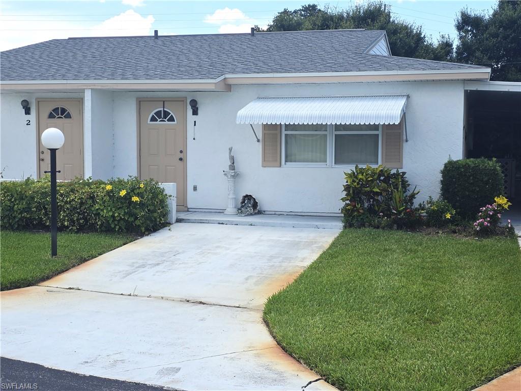 1 Dutch Iris LN