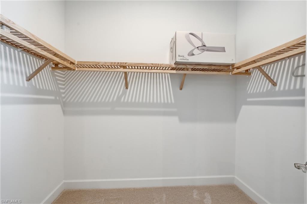 Walk-in closet featuring light wood shelving, white walls, and neutral carpet flooring