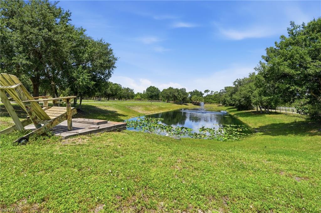 Pond