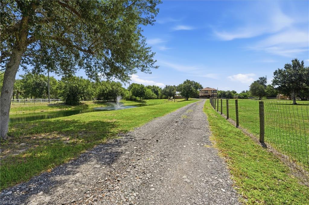 5780 Sabal Palm LN photo 9