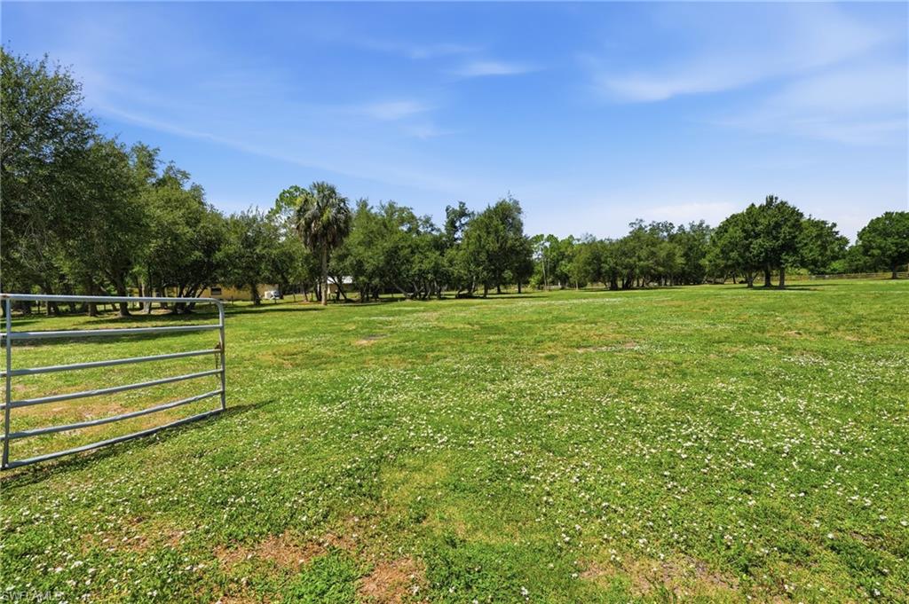 Fenced Pasture
