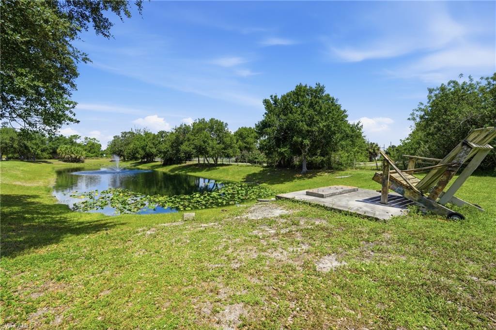 Pond
