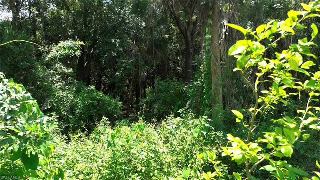 856 Sentinela BLVD photo 9