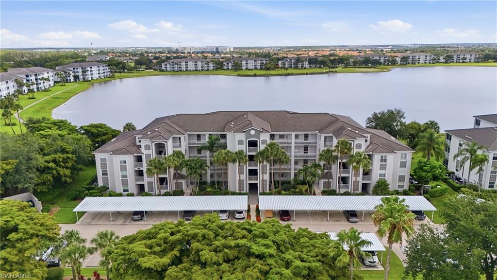 10480 Washingtonia Palm WAY 1126