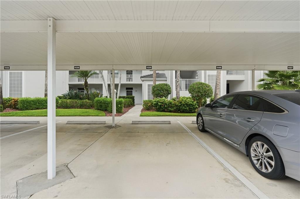 10480 Washingtonia Palm WAY 1126