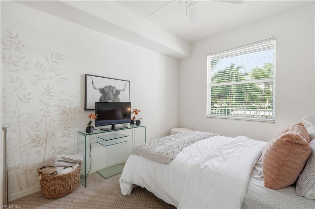 10480 Washingtonia Palm WAY 1126 photo 18