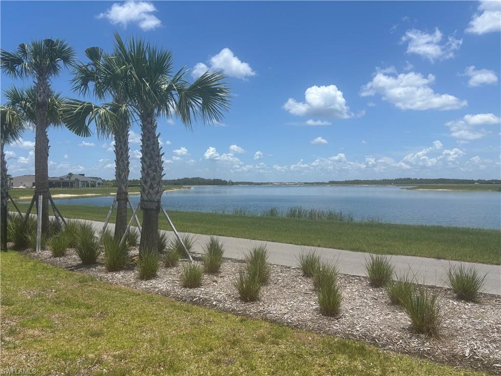 view from backyard of lake