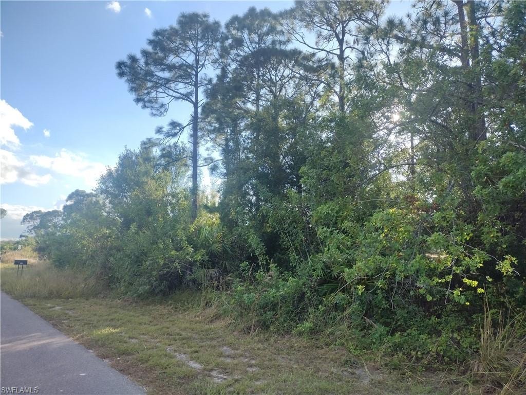 View of road