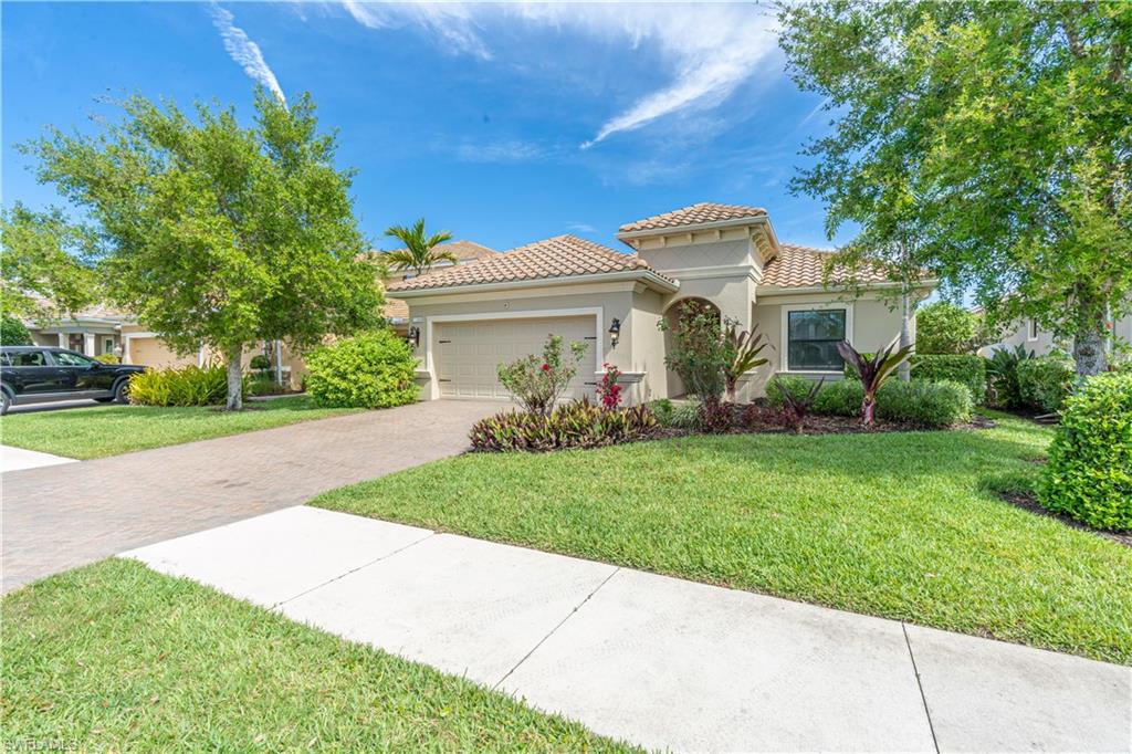 3549 Canopy CIR