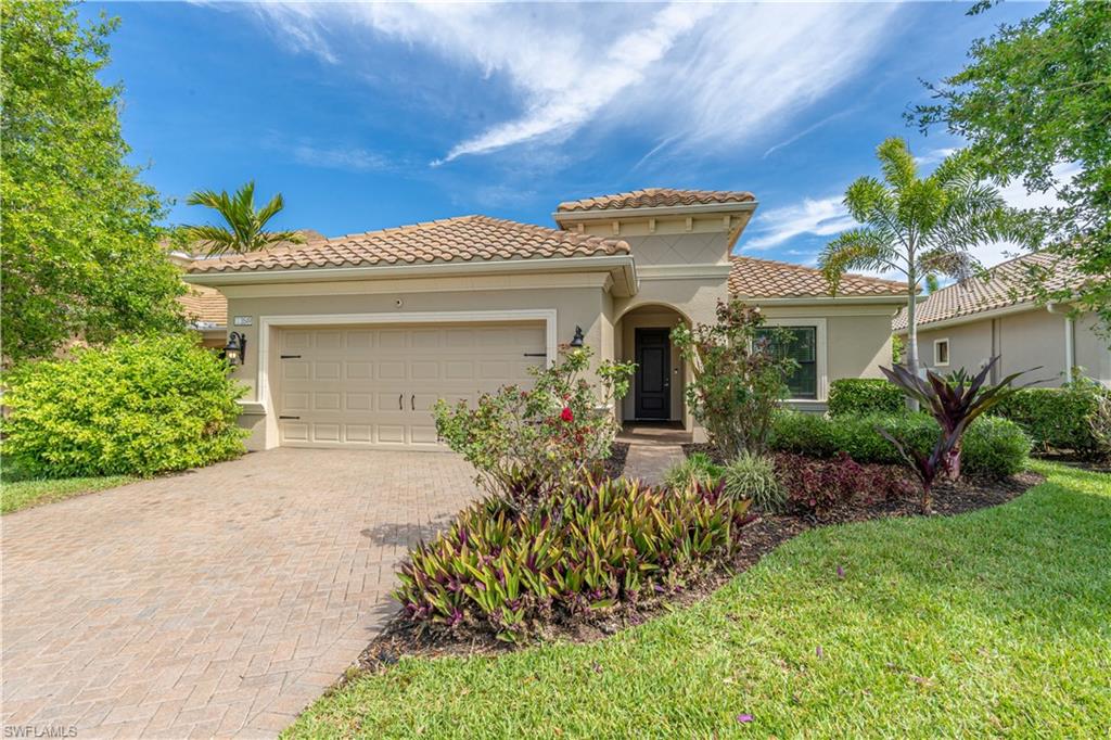3549 Canopy CIR