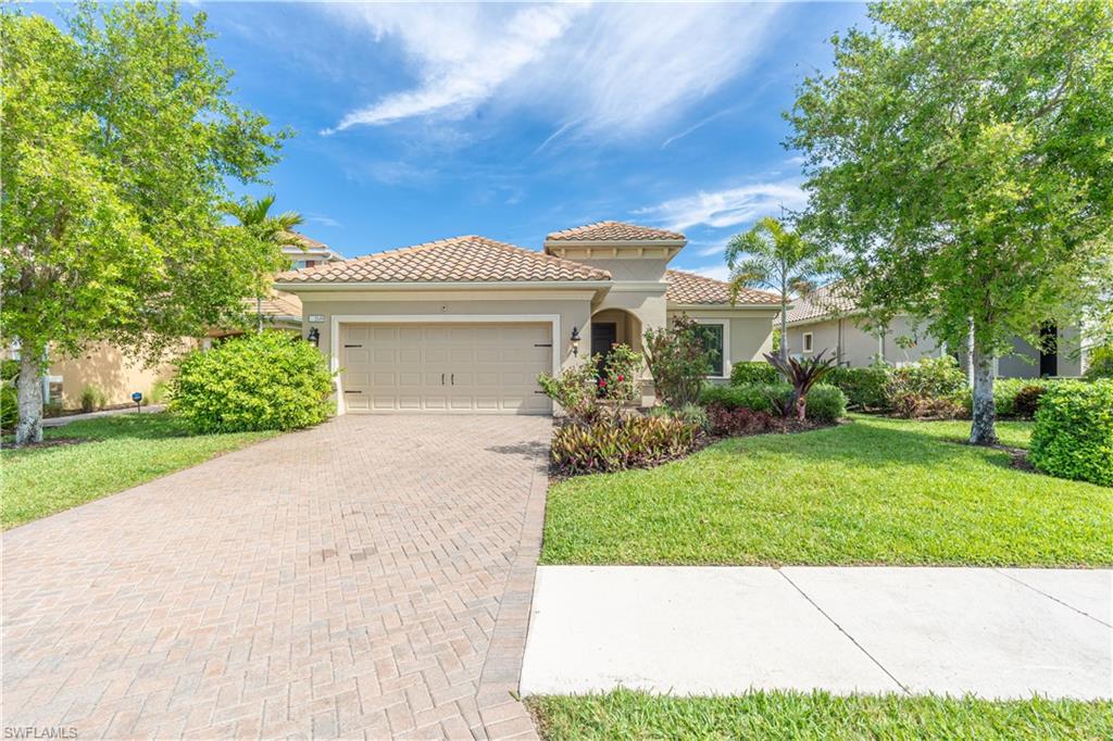 3549 Canopy CIR